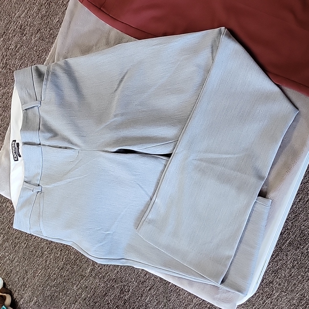 Express Dress pants